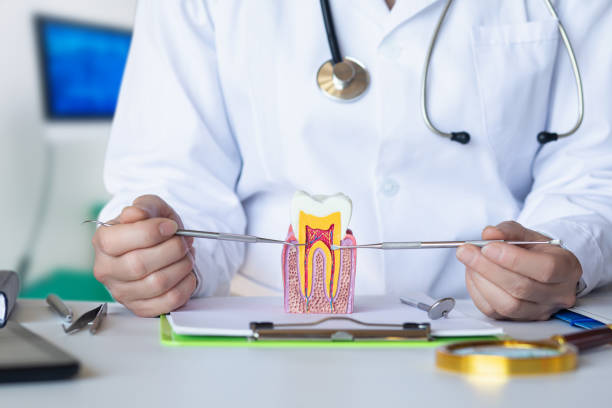 Best Broken or Cracked Tooth Emergency Dentist in Lakewood Park, TN